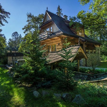 Dom Crocus Villa Zakopane Eksteriør billede